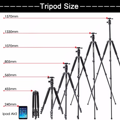 HolaFoto Tripod T1 Camera Tripod, 62'' DSLR Tripod Aluminum Alloy with 360° Panorama Ball Head &1/4" Quick Release Plate