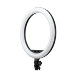 Godox LR120 12 Inch LED Ring Light Studio Photography Fill-in Light 3000K-6000K Bi-Color Temperature Adjustable Brightness USB